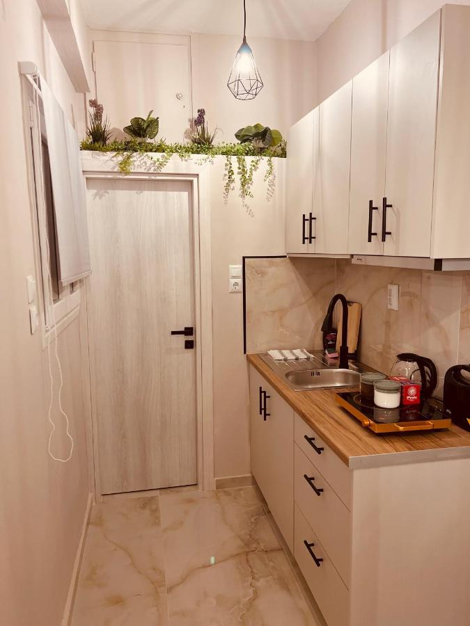 Appartement Cactus Luxury Suite2 *